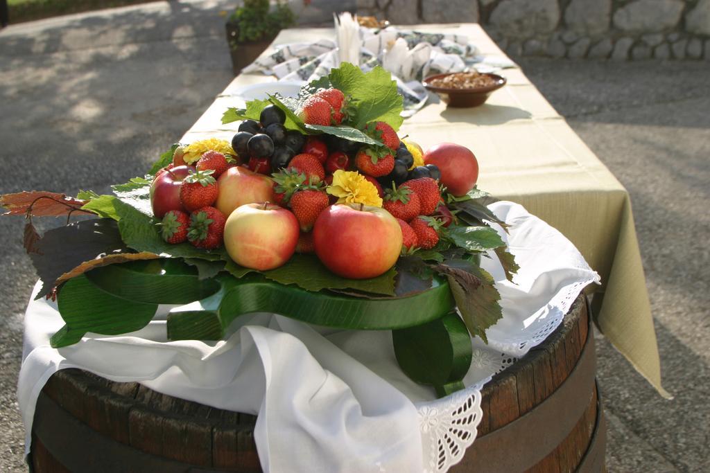 Hotel Krka - Terme Krka Νόβο Μέστο Εξωτερικό φωτογραφία
